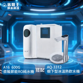 【可申請補助-下單享折價】淨工坊 A16 直輸型雙效節能RO純水機 搭配 AQUATEK沛宸 AQ-3312 雙溫飲水機