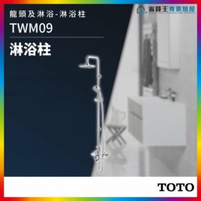 Shower column TWM09 with overhead rain head and handheld sprayer in a modern bathroom; TOTO branding.