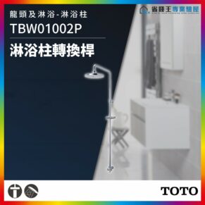 Chrome shower rail with adjustable overhead rain head in a modern bathroom; product TBW01002P.