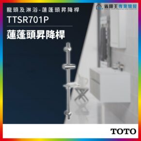 Product poster for TTSR701P shower rail with adjustable handheld shower holder, chrome finish, in a modern bathroom setting.