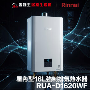 【免費申請補助】【省錢王-詢問打7折起-再送濾心】林內 Rinnai RUAD1620WF 屋內型16L強制排氣熱水器 RUA-D1620WF