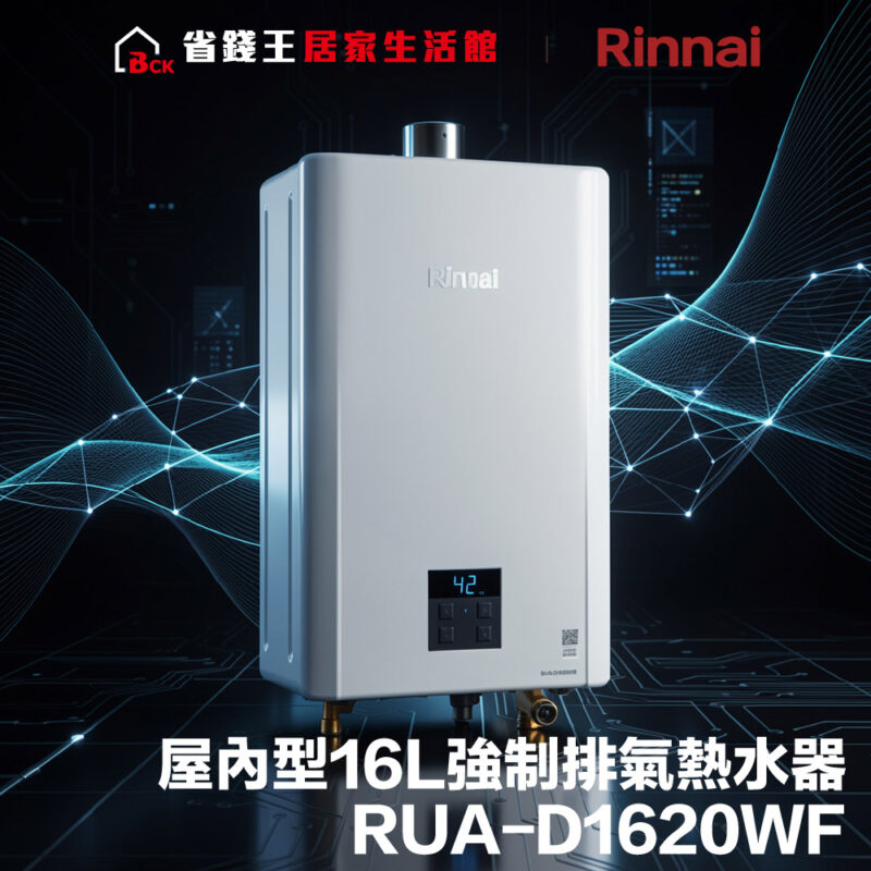Rinnai indoor gas water heater (RUA-D1620WF) with digital display showing 42°C and bottom piping, in a tech-themed ad backdrop.