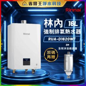 Rinnai promotional banner for a 16-liter water heater, set against a blue high-tech background with product image on the left and Chinese text advertising features and a gold badge on the right side